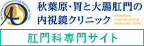 秋葉原・胃と大腸肛門の内視鏡クリニック 肛門専門サイト