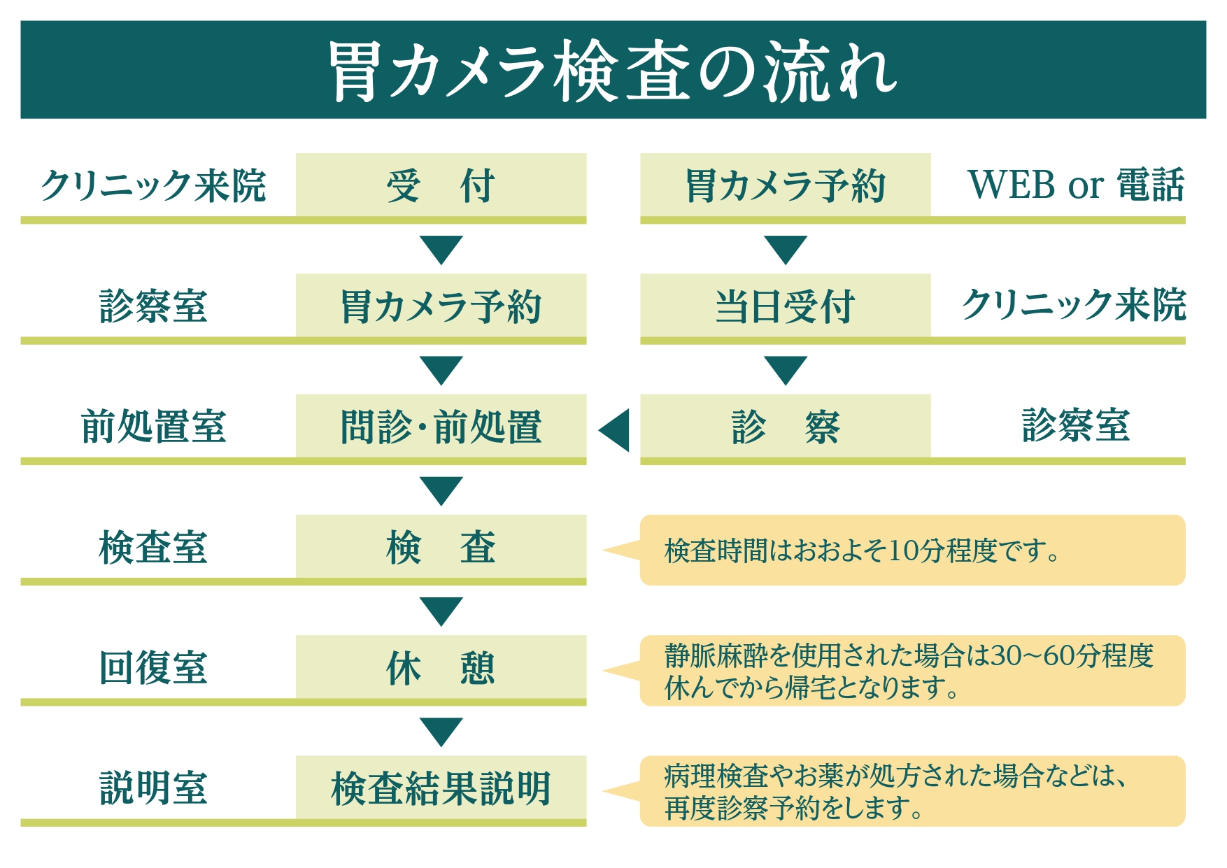 検査の流れ